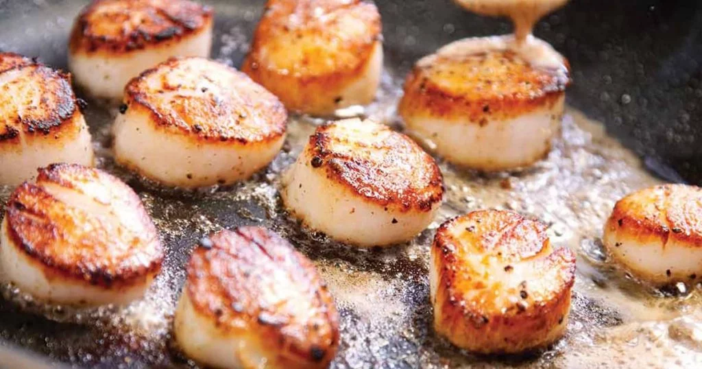 How To Sear Scallops 6 How To Sear Scallops