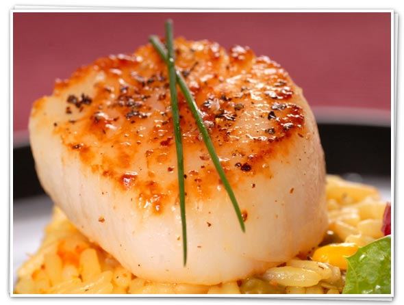 Learn about Sea scallops